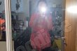 Shirin-foto