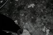 Alex-foto