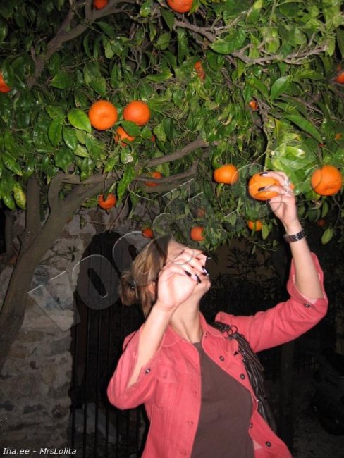Karin - foto