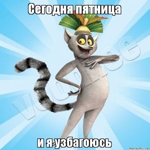 Elena - foto