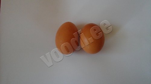 Артур  Крепкие  Яйца - фото