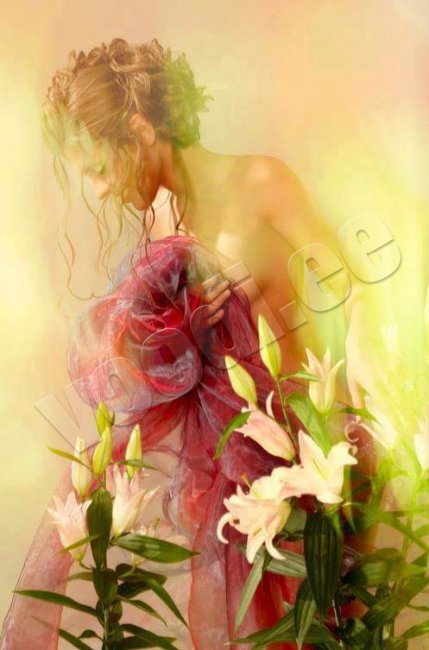 Natali - photo