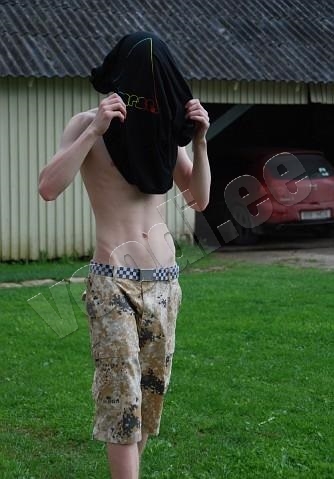 Sander - photo