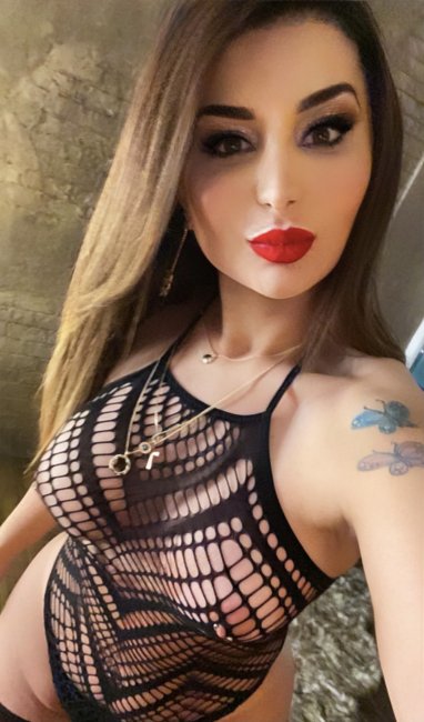 Linda  Brazilian  trans   - photo