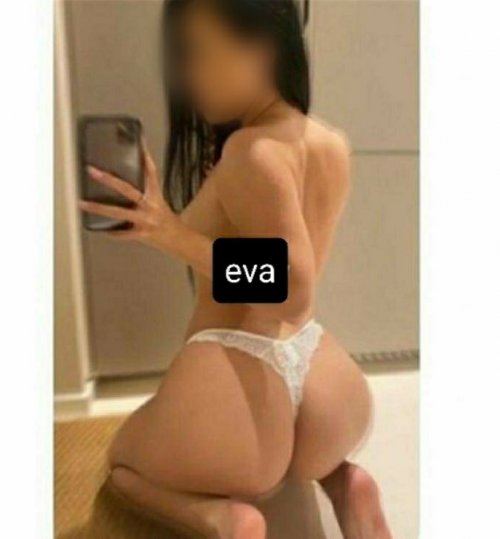 Evy   - kuva