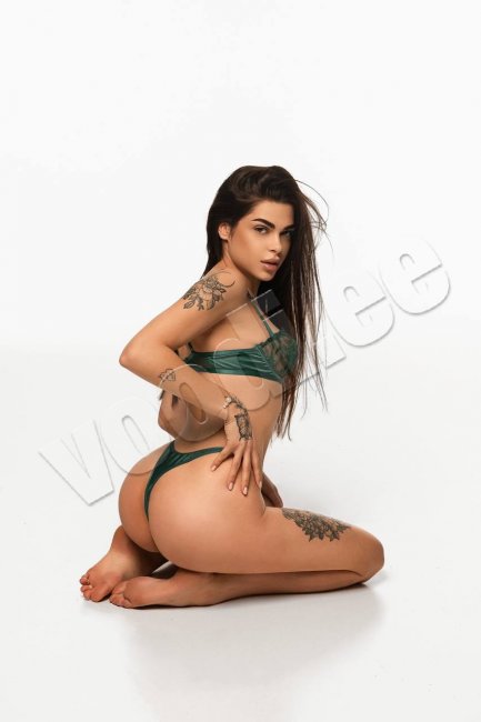 EXCLUSIVE  VIP  ESCORT   - foto