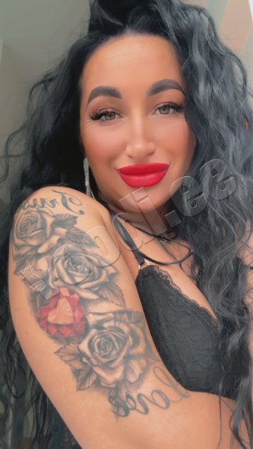 Rosa - photo