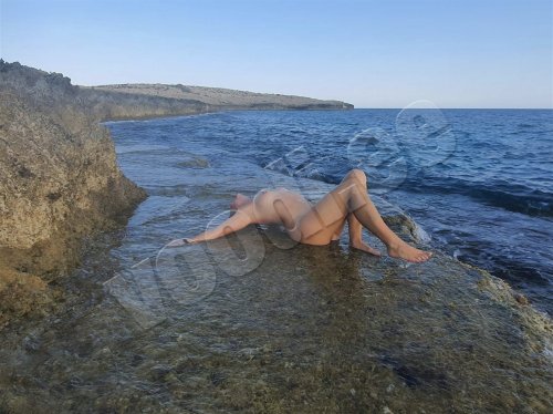Sessile - photo