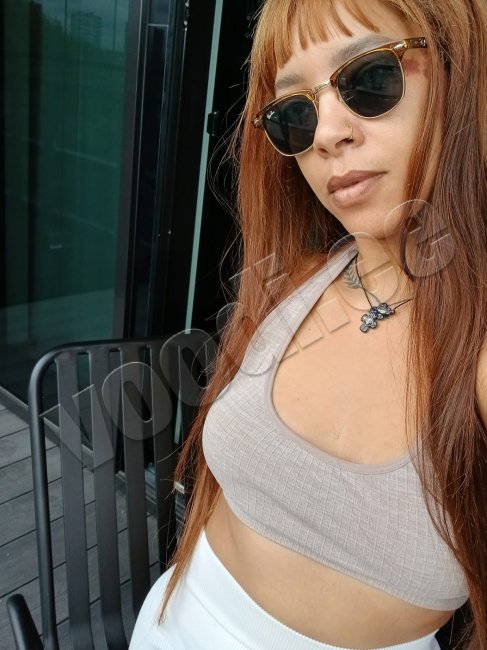 Shenoa  marina - foto