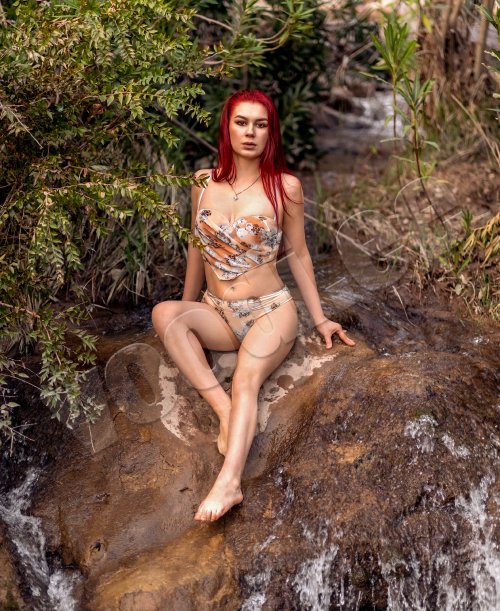 Annet - foto