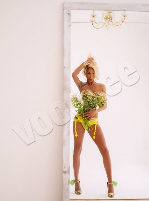 Miss  Trans  International  Icon - foto