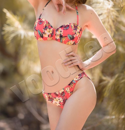 Hedy - foto