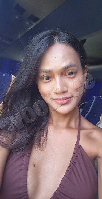 TRANS  THAI  MASSAGE   - kuva