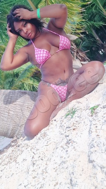 Carol  latina  Anal  Massaje   - foto