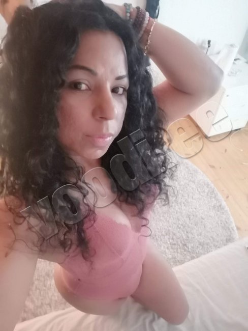 TRANS  PIKARA  MÕNEKS PÄEVAKS - foto