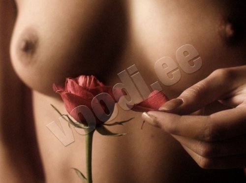 POLET   - photo