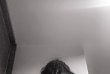 ALISA-foto