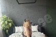 Samnata  Anal-фото