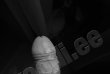 HornyBoy-foto