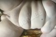 veronika-photo