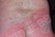 ZANNA-foto