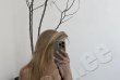 Dasha  -photo