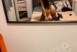 Hot  latina  angie-foto